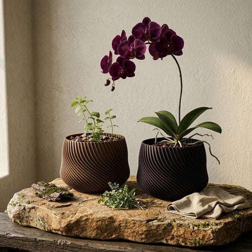 Base para Orquídea Aura