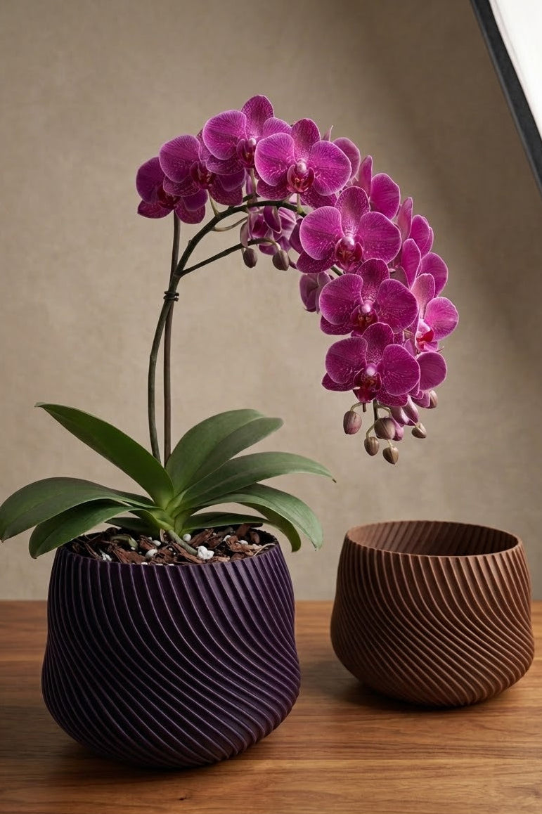 Base para Orquídea Aura